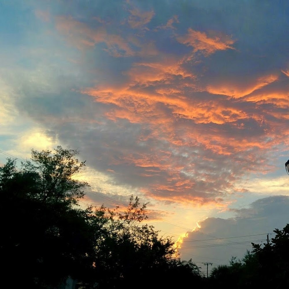 Meet your Posher, Shelley